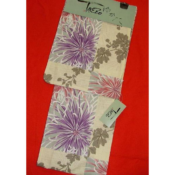 ^P][(Takezo)@v^߁@es@uhd̗