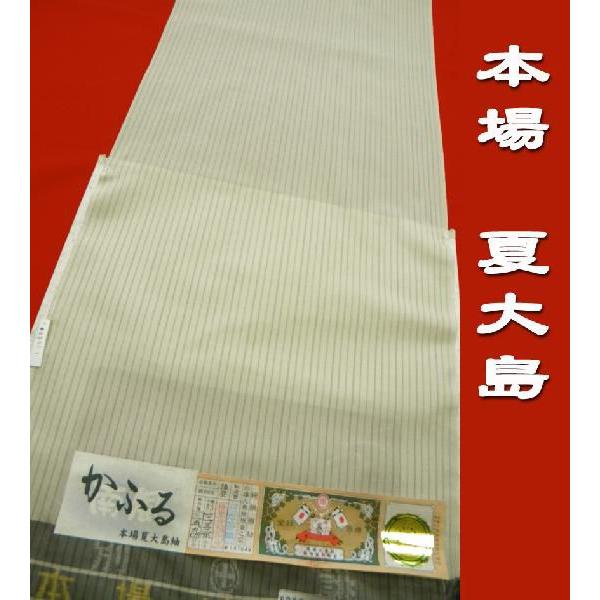本場夏大島紬 夏のおしゃれ着物 生成り縞 夏の着物 : 京都ひのや呉服店