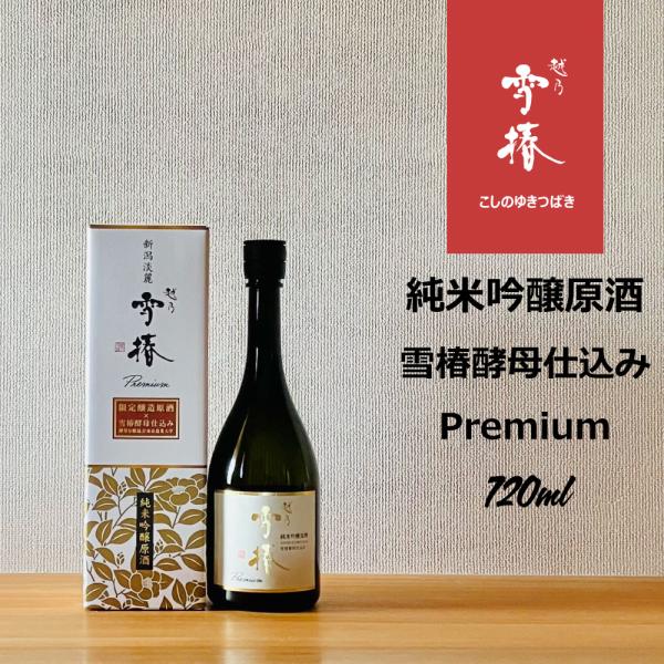 hirase-saketen_yukitubaki-07202