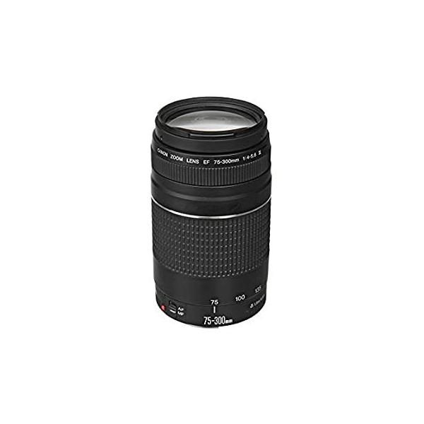 Canon ズームレンズ 望遠 EFレンズ EF75-300mm F4-5.6 III :B00004THD0