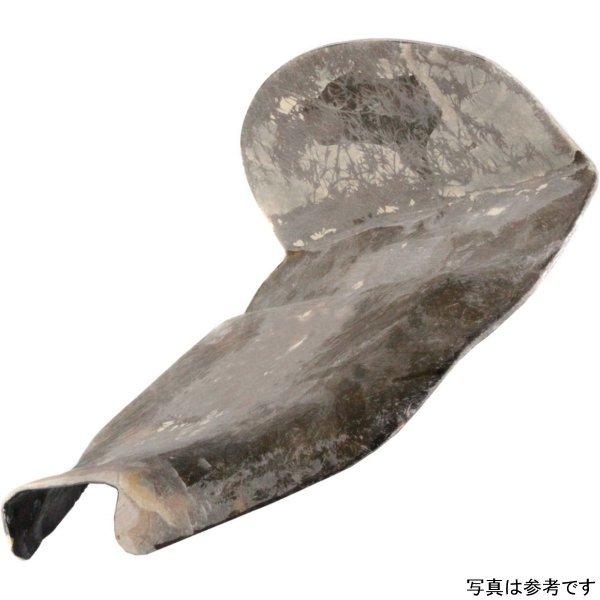 THU-11-72-391 T_[oCN V[gx[X 13N-17N uCNAEg T_[oCN TB-R EhATB-R^Np 18C`-260 HDX