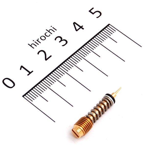 観賞用赤石 121191502212008.jpg