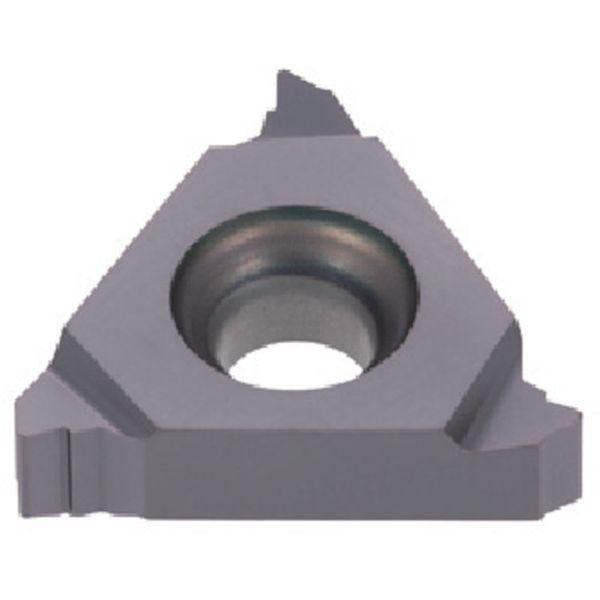 �y���[�J�[�݌ɂ���z 16IR14UN (��)�^���K���C �^���K���C ����p�˂��؂�TAC�`�b�v COAT 5���� HD