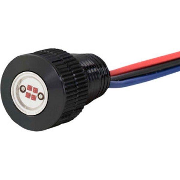 yUSA݌ɂz 2040-2488 |[tB[ Paul Yaffe LEDCg {g Ao[/ HDX