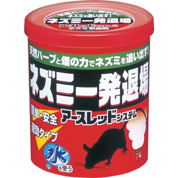 y[J[݌ɂz 254016 A[X() A[X lY~ꔭޏ(񉌃^Cv) HD