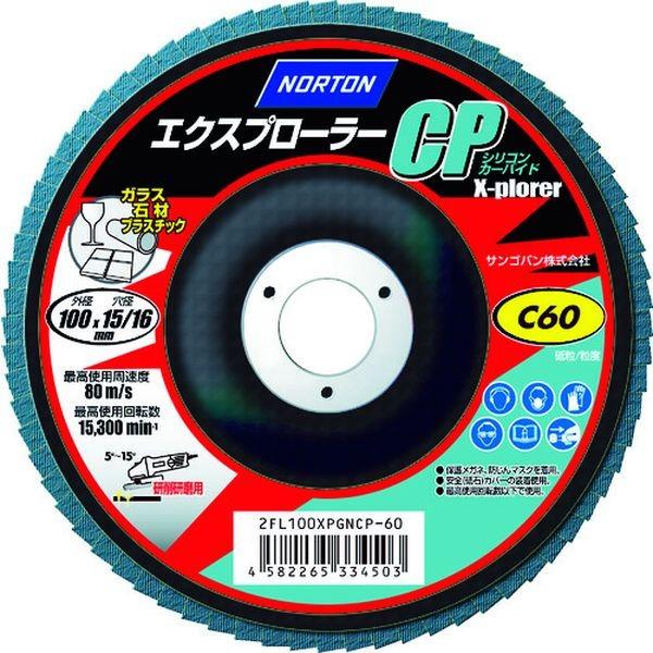 �y���[�J�[�݌ɂ���z 2FL100XPGNCP-120 �T���S�o��(��) NORTON XPCP�t���b�v�f�B�X�N C120 10������ HD