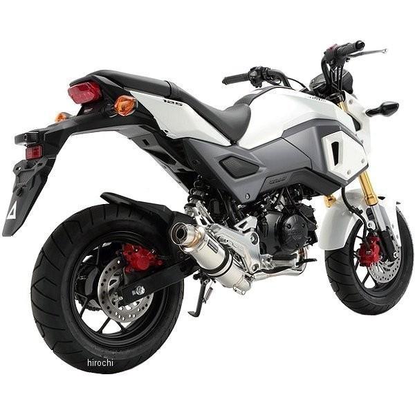 G175-53-008 r[X BEAMS tGL][Xg R-EVO 16Nȍ~ O XeX HDX