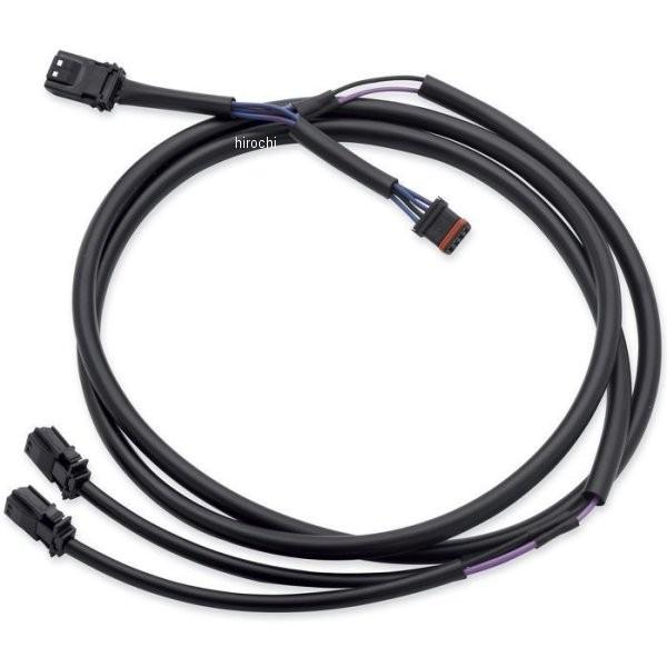 69201109 n[[ LEDtHOvCOn[lX 14Nȍ~ FLHT(EyA) HDX