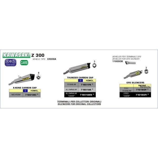 71018GPI A[ ARROW XbvI}t[ GP2 13N-16N NINJA250 XeX_[N/XeGh HDX