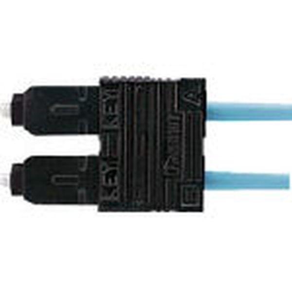 y[J[݌ɂz FSCDMCXAQ phECbgR[|[V phECbg ςSCRlN^ fvbNX OM3/OM4 HD