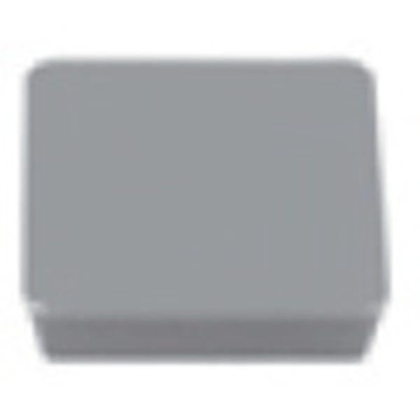 y[J[݌ɂz SPCN42STR ()^KC ^KC ]pC.ETAC`bv CMT 10 HD