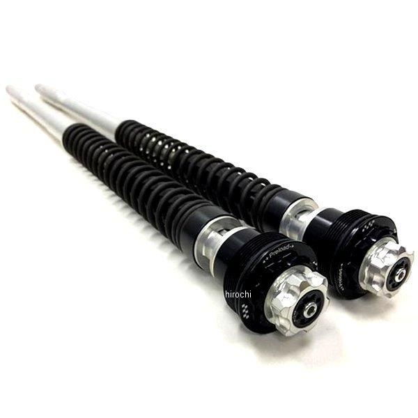 F20A110K �}�g���X MATRIS �J�[�g���b�W�L�b�g F20K 11�N-14�N �A�v�����A RSV4R FACTORY JP�X