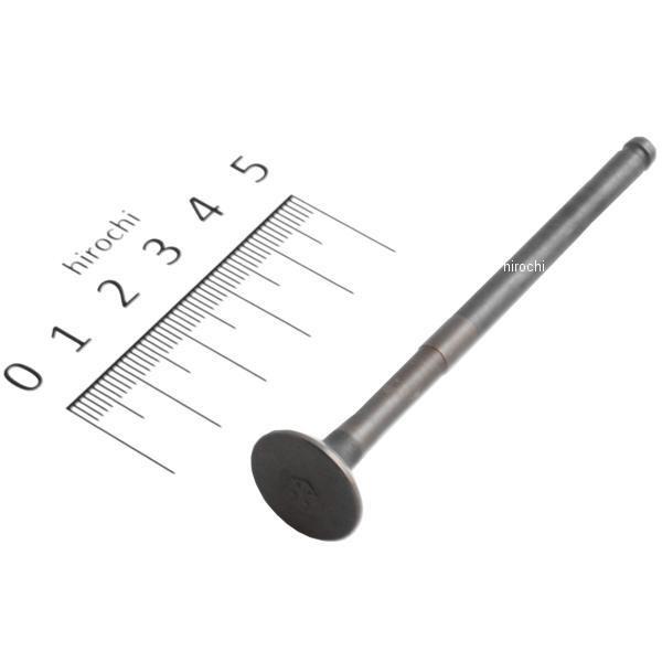 y[J[݌ɂz 5ML-E2121-00 }n ou GL][Xg JP