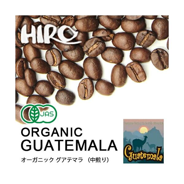 コーヒー豆「オーガニックグァテマラ セイラン農園 100g 864円〜」中煎り シングルオリジン 珈琲豆 自家焙煎 入荷日：8月19日