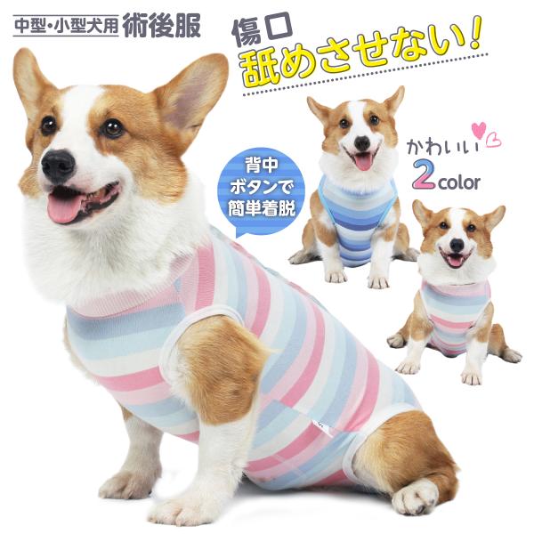 犬 術後服 エリザベスカラー オス エリザベスウェア メス 犬術後服 犬用術後服 ダックス