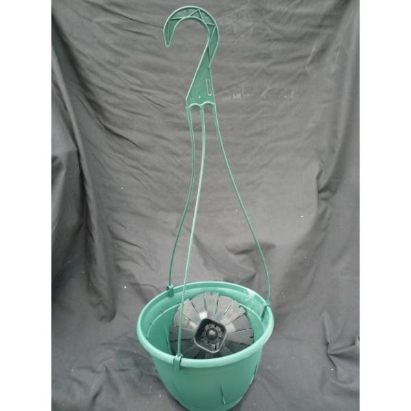 hiros-pitcherplants_10-00016