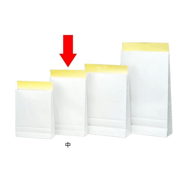  z  300 WP N  V[t JɂS \ʃ|H p  