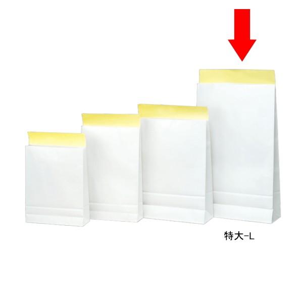  z -L 200 WP N  V[t JɂS \ʃ|H p   