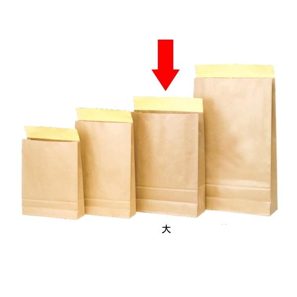  z  300 WPN  V[t JɂS \ʃ|H p  