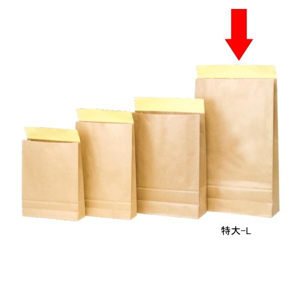  z -L  200 WPN  V[t JɂS \ʃ|H p  