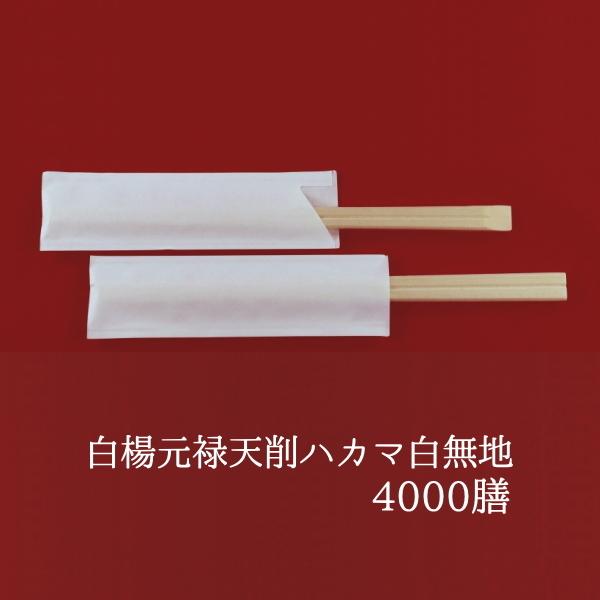 蔢 ܓ k\VnJ}n@100P×40@Ɩp ĝ  ܓ 