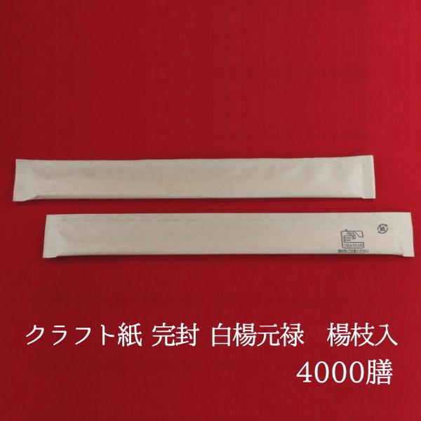 蔢 Ntg  k\ k} 100P×40@Ɩp ĝ  ܓ 
