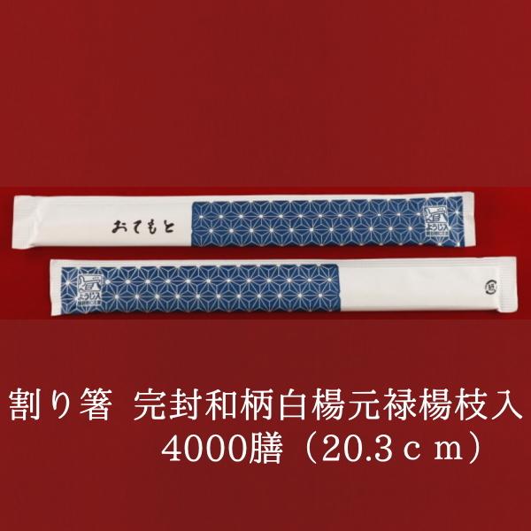 蔢   a k\ k} 100P×40@Ɩp ĝ  ܓ 