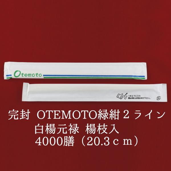 蔢   OTEMOTO ΍2C k\ k} 100P×40@Ɩp ĝ  ܓ 