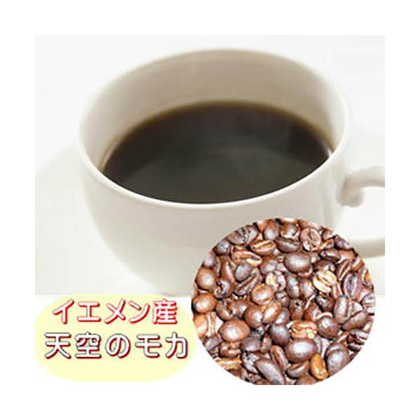 珈琲 コーヒー 福袋 送料無料 コーヒー豆 自家焙煎コーヒーモカ「天空のホワイトキャメル」500g