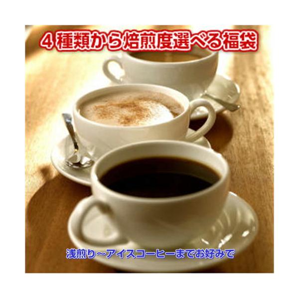 焙煎度選べるコーヒー大盛セット「秋のきらめき福袋」 お好みで選んで送料無料！