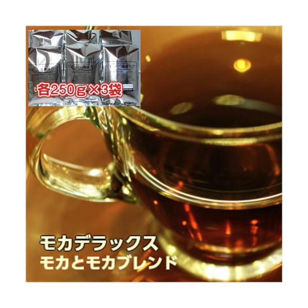 珈琲 コーヒー 福袋 送料無料 コーヒー豆　甘い香り「モカ」コーヒーのデラックス福袋！
