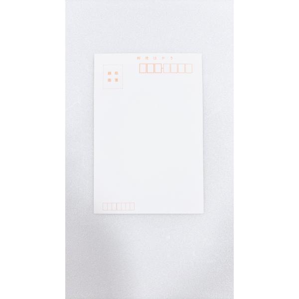 すぐ使える手紙・はがき百科 改訂版 越前画仙 はがき 松 10枚入り 絵手紙 水墨画 水彩画 年賀状 白 無地 厚