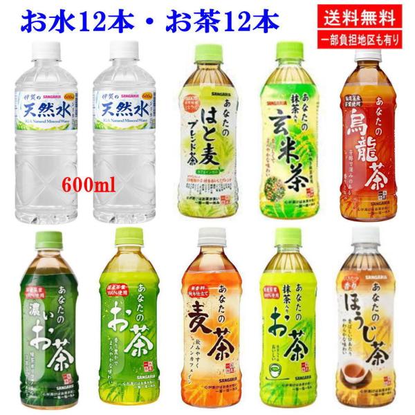 V TKA Ȃ̂V[Y 500mlƈɉ̓VR 600ml Ƃ24{Zbg ybg{g ֓