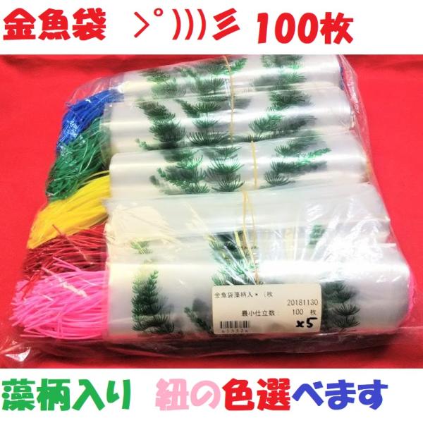 hirosimaporionlyone_1552-5