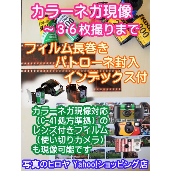 フジフイルム Superia  パトローネ 11個セット FUJIFILM カラーネガフィルム現像 35mm36枚撮まで パトローネ