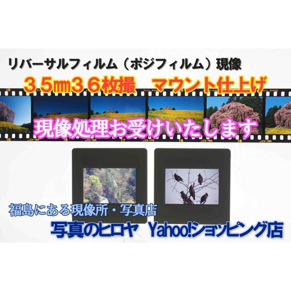 リバーサルフィルム現像 35mm36枚撮 マウント仕上 Buyee Buyee Jasa Perwakilan Pembelian Barang Online Di Jepang