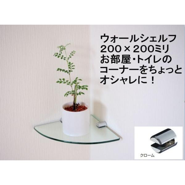 （材質・強化ガラス）（色・透明）（厚み・６ミリ）（１２０ミリＲ形）×１枚（材質・真鍮）（色・クローム）（ビス・4×25付）（耐荷重3kg）×２個お部屋・おトイレのコーナーに収納できとっても便利です！取り付けも簡単です。商品取り寄せに１日〜２...