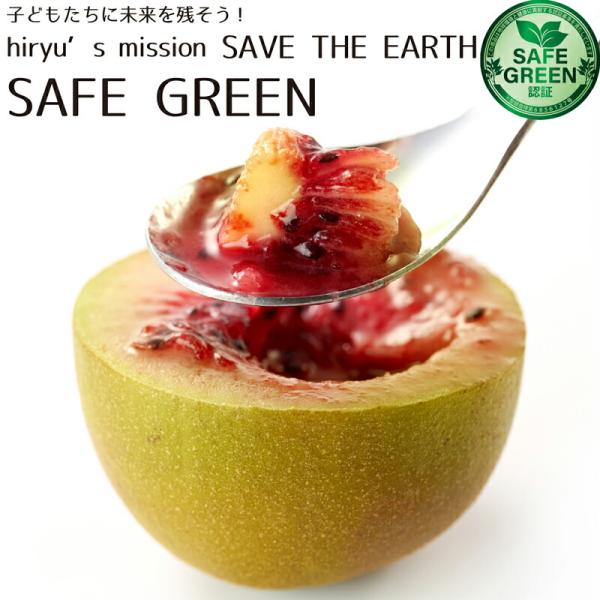 キウイフルーツ 紅妃 ルビーレッド 500g 化学農薬・化学肥料不使用栽培 神奈川県産