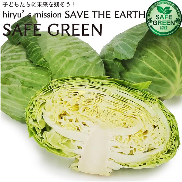 約800ｇ~1,200ｇ【販売予定期間】11月〜12月※天候や生育状況により、お届け時期が大幅に前後したり、お届け出来ない場合がございます。※本商品の収益の一部は、HIRYUが賛同する地球環境問題に取り組む団体への活動支援に充てさせて戴いて...