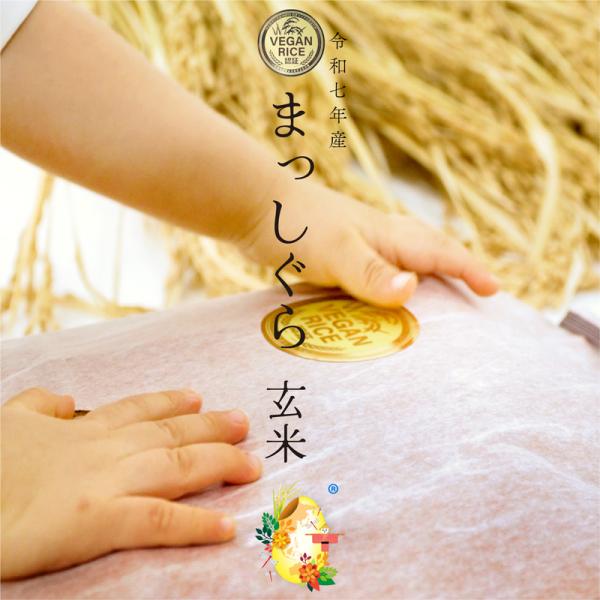 自然栽培の玄米 3kg まっしぐら 令和7年産 農薬・肥料不使用 青森県産 VEGAN RICE認証米 残留農薬検査済 選別済 送料無料