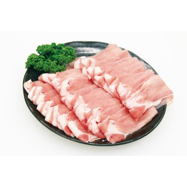 宮崎 SPF日南もち豚 ローススライス｜直送品｜お取り寄せグルメ ギフト プレゼント お土産 HIS