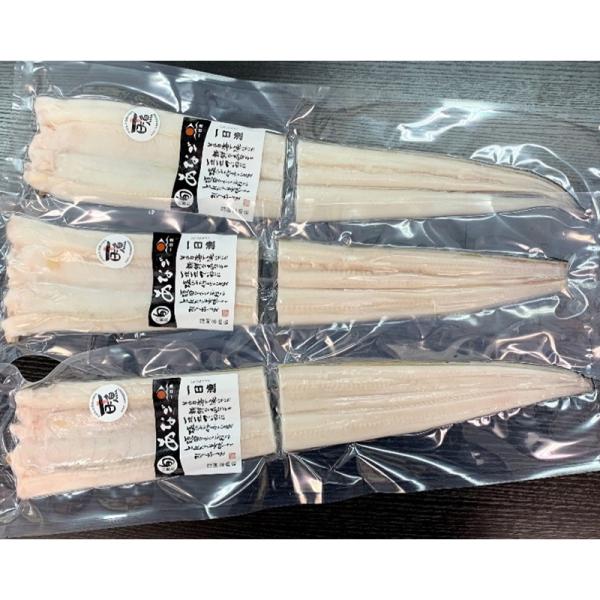 島根 岡富商店 しまねの大穴子一夜干し大田市では、古くから、その日に獲った魚がその日の夕方に水揚げされ、この漁形態を「一日漁」と呼んでいます。「一日漁」の魚は主に翌日の朝にセリにかけられます。その魚の特徴は、鮮度・品質・味の良い事です。「一...