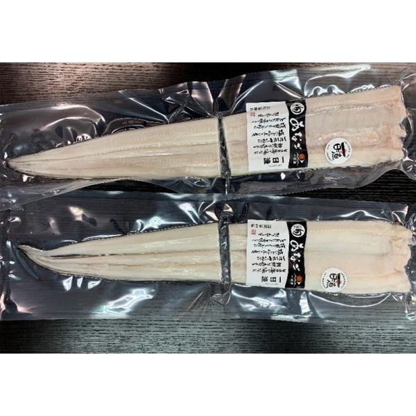 日本海大ぶり穴子の一夜干し今や高級魚として定着した穴子はビタミンやミネラル、良質なタンパク質などを含む優れた栄養のある魚。そんな穴子の中でも『食彩の王国』で放送された大きくて太いサイズを買い付け一夜干しに仕上げました。深層海水から作る天日塩...