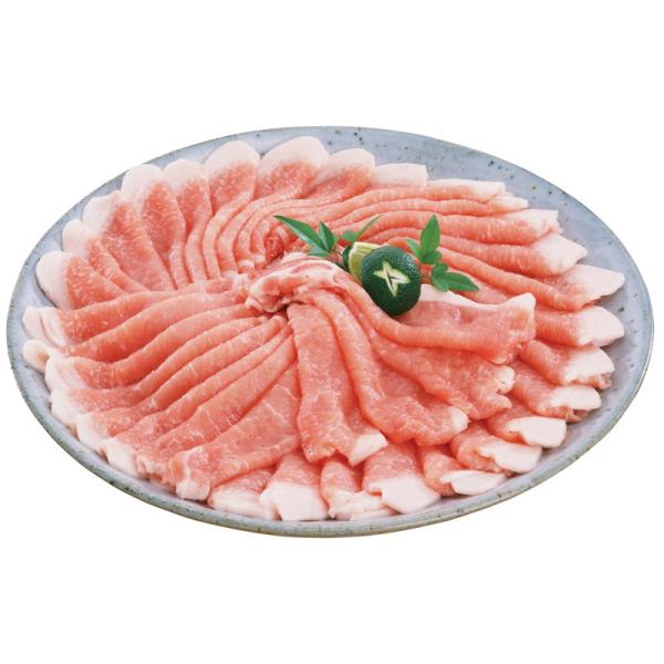  {VR[؂Ԃԗp؂藎Ƃ bib񂹃O Mtg v[g yY HIS