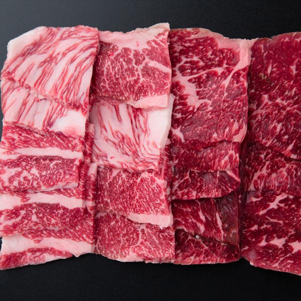 Yјa ē1kgbib񂹃O Mtg v[g yY HIS@ID:SH10528