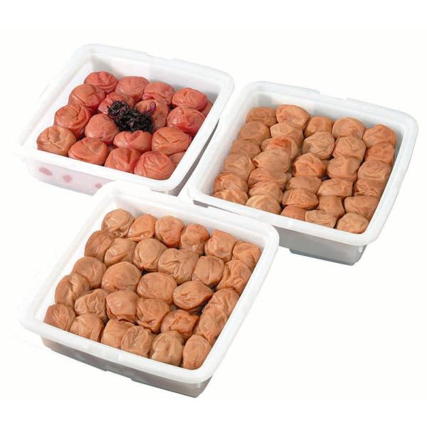 a̎R IB썂~ Ԃ~bib񂹃O Mtg v[g yY HIS