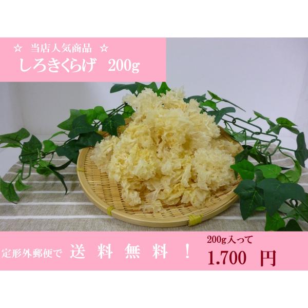 ☆ポイント消化きくらげランキングで堂々の1位を頂きました！ご使用方法・5分程度ぬるま湯または、水につけてお戻し下さい。(約7〜10倍程度膨らみます。) サラダや酢の物に最適です。他にもくせがないので食感を生かしたお料理にご利用いただけます。...