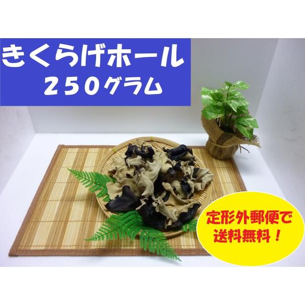 ☆ポイント消化・訳あり品ご使用方法・20〜30分程度水で戻すのが最適です。(約7倍程度膨らみます。) 中華料理や炒め物に最適です。他にもくせがないので食感を生かしたお料理にご利用いただけます。さらに・さらにの送料無料にしちゃいます！思う存分...