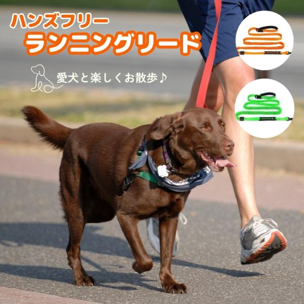 ハンズフリー 犬用 ランニングリード 腰掛け 斜め掛け リーシュ : 菱が