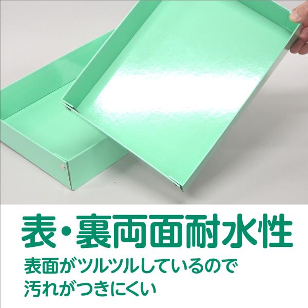 �y���������z�A�[�e�b�N 3593 �������ǂ����΂�(���w�Z�p) ���i�摜1